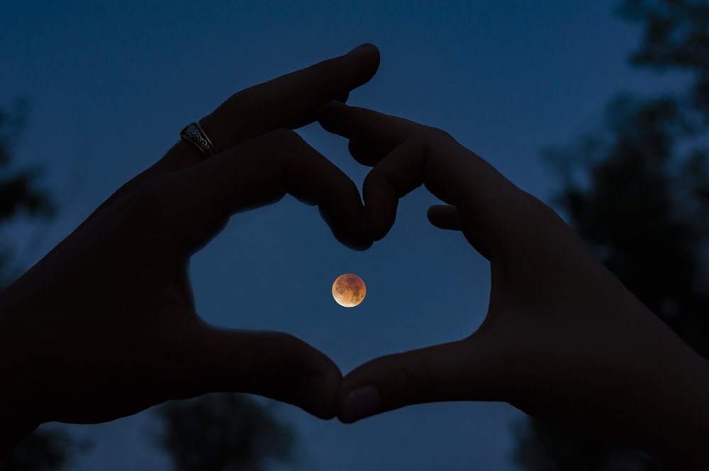 Свидетель любви...