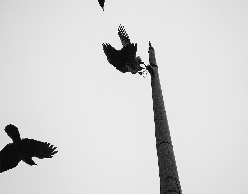 Photograph by Елена Кондратьева