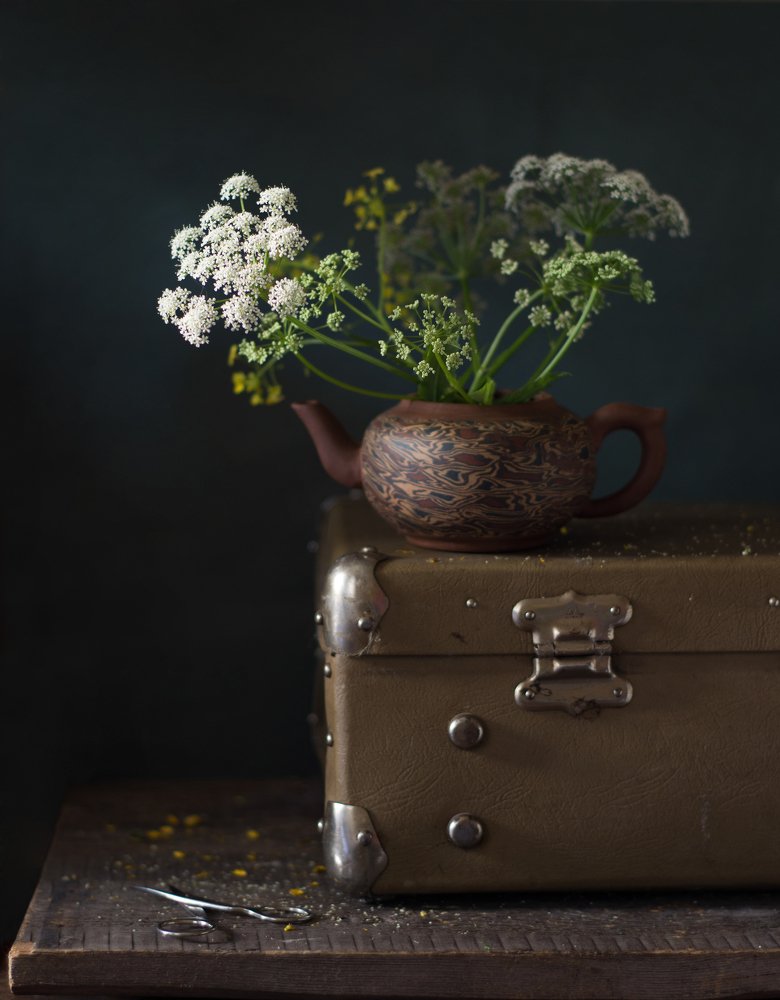 Photograph by Елена Мустафина