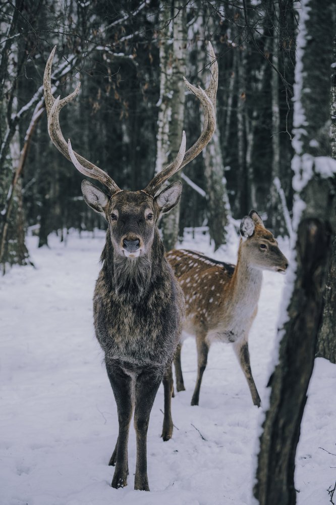 Photograph by Василий