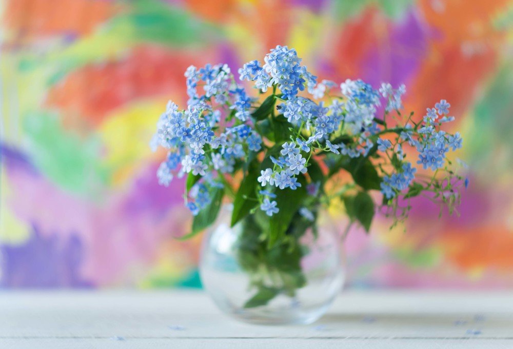 Photograph by Елена Мустафина