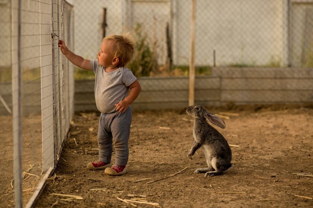 Photograph by Галина Шарапова