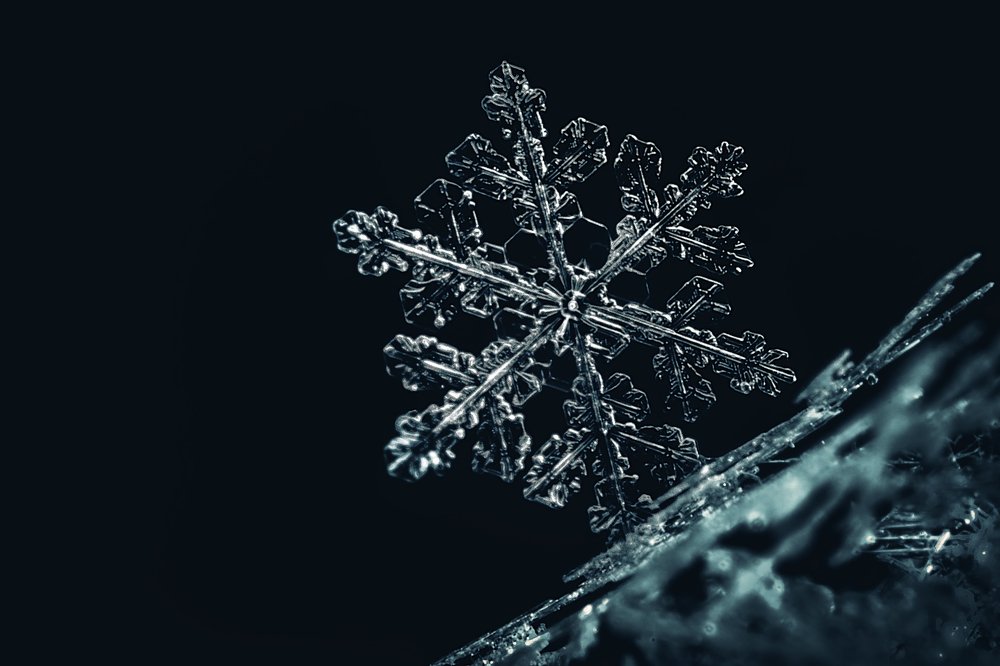 Photograph by Serhij Kharchenko