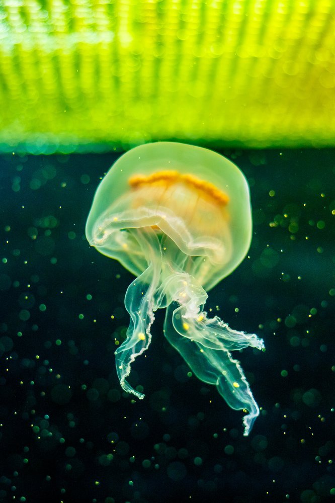 Photograph by Алексей Зотов