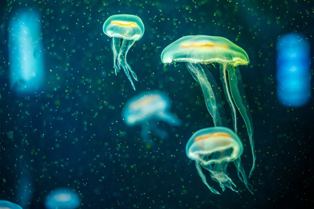 Photograph by Алексей Зотов