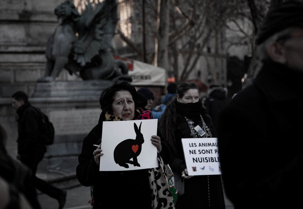 Photograph by Ekaterina Riipulk