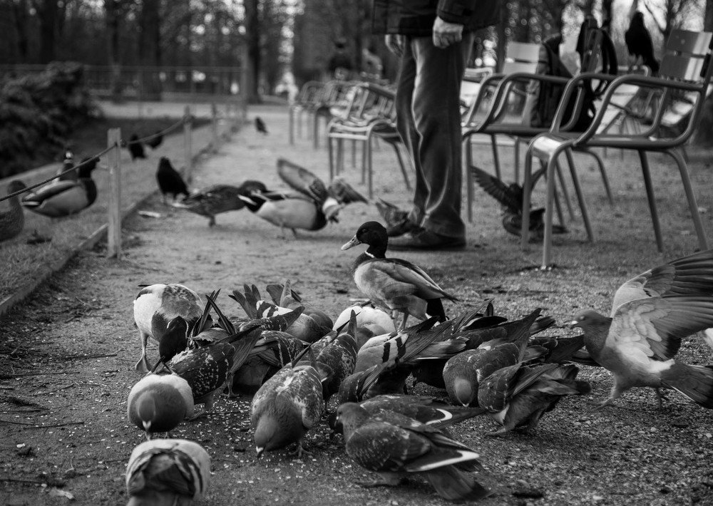 Photograph by Ekaterina Riipulk