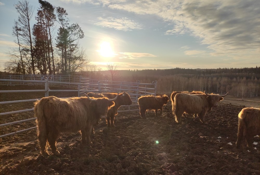 Photograph by Toomas Viirpalu