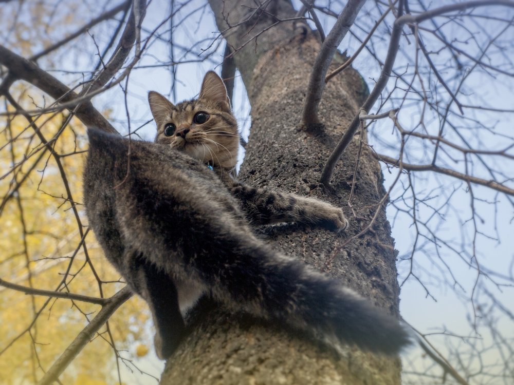 Фотография автора Оксана Талан