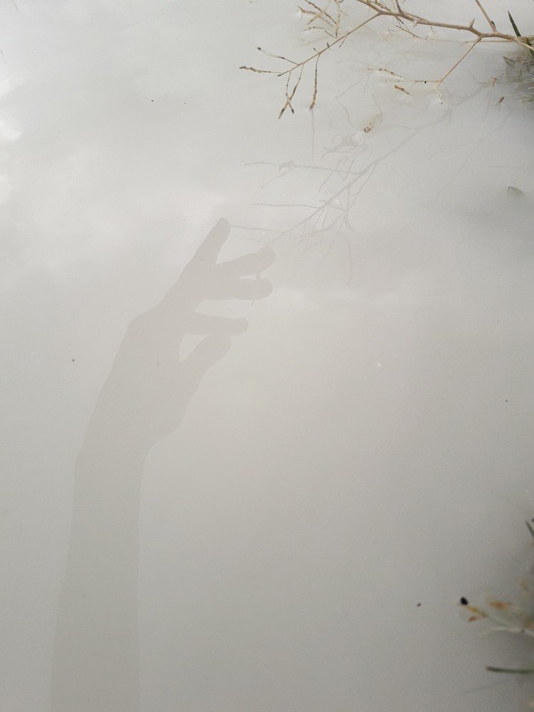 shadow to shadow. soul to soul