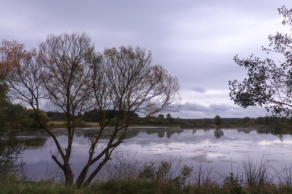 Фотография автора Даниил Бабей