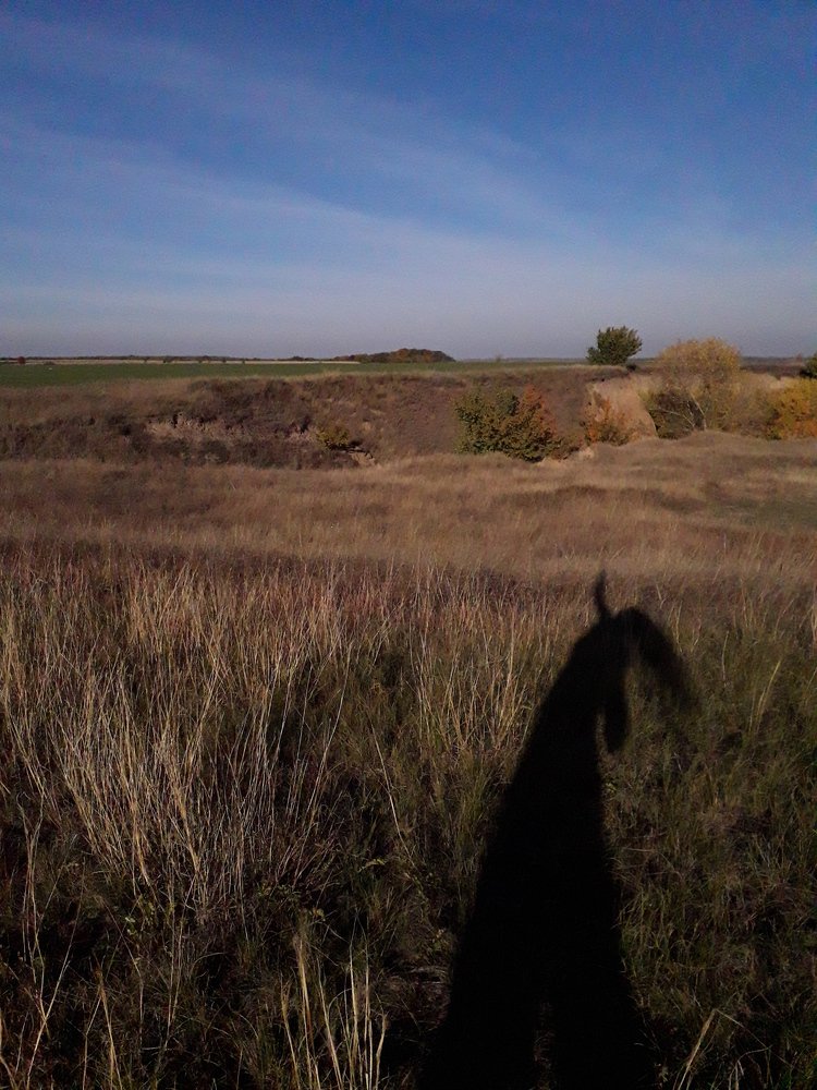 Фотография автора Оксана Талан