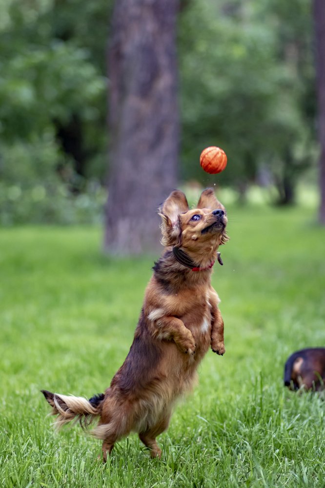 Photograph by Виталий Девяткин