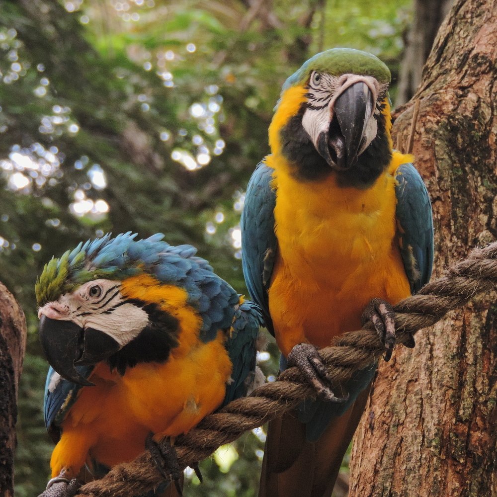 Photograph by Felipe Andres Giraldo Arevalo