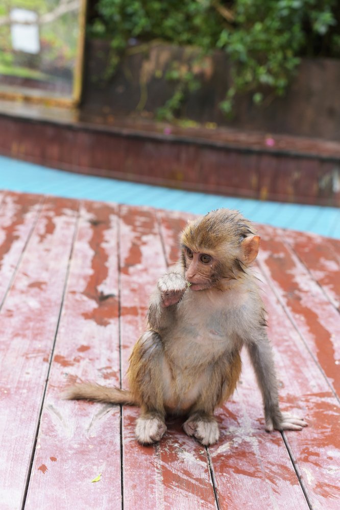 After water procedures