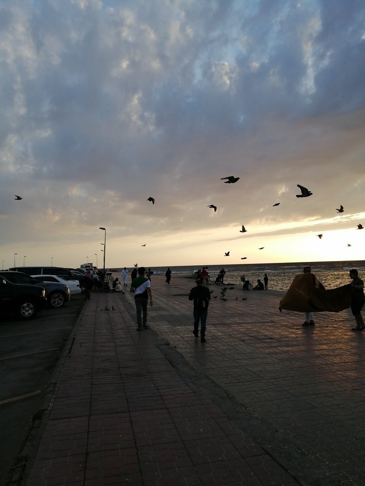 Photo #4144637