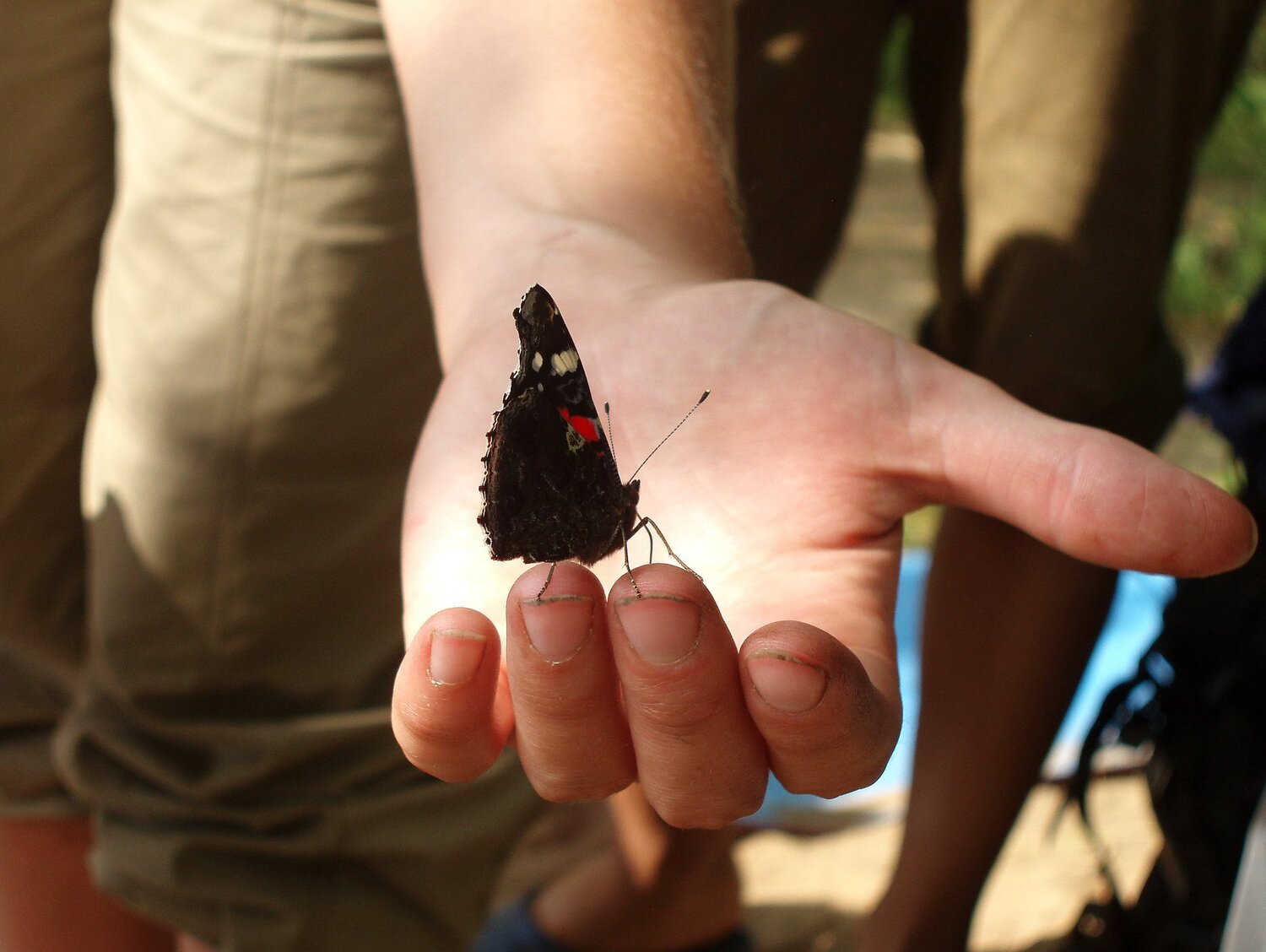 Photo #4144654