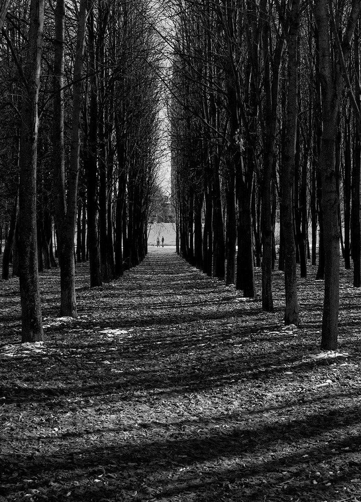 Photograph by Корженевская Лариса Анатольевна