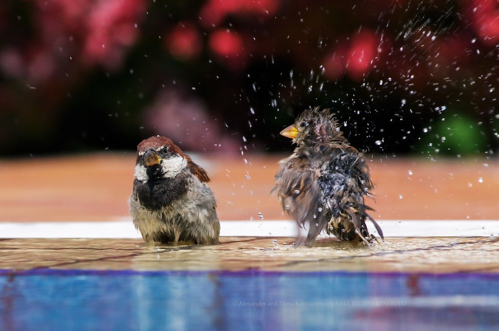 Водными займитесь про-це-дурами...