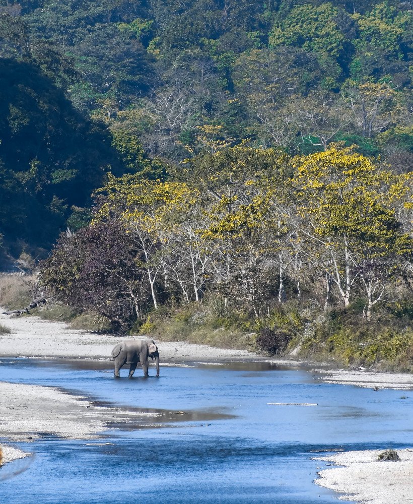 Photograph by sayantani basu