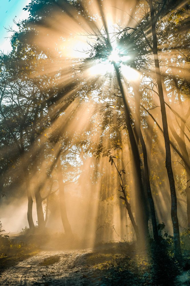 Photograph by sayantani basu