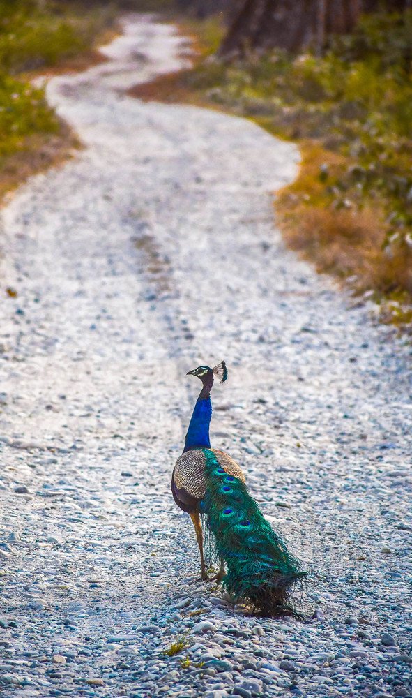 Photograph by sayantani basu