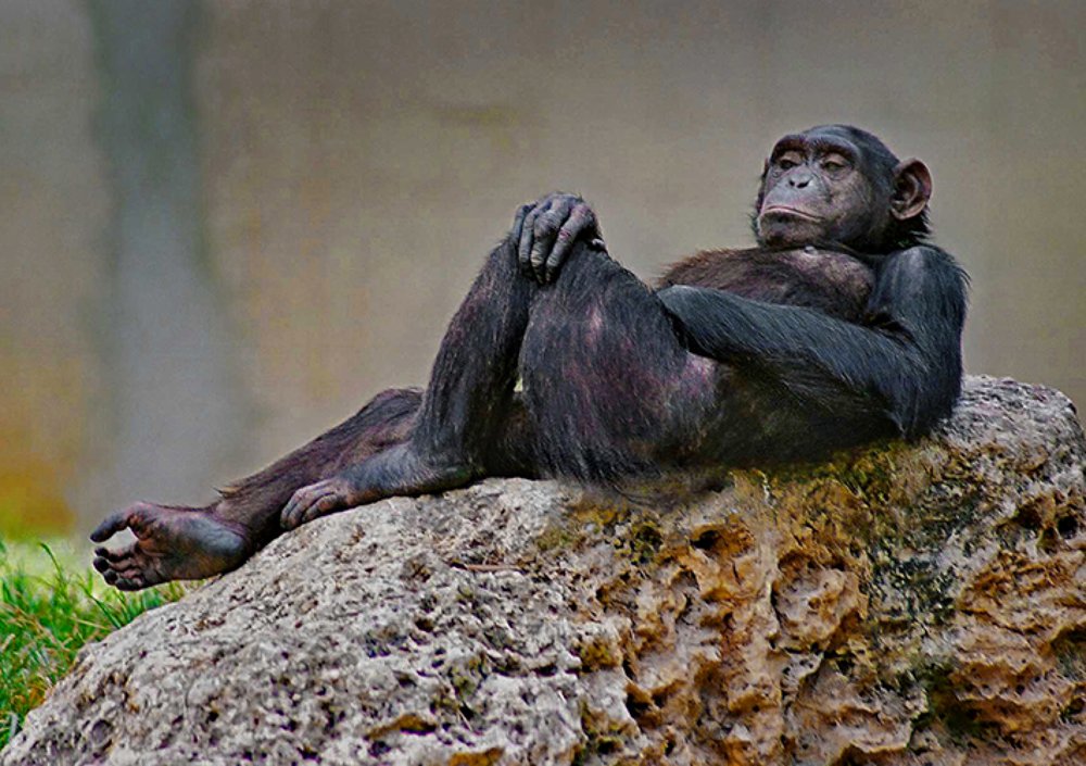 Photograph by Gregory Khatin