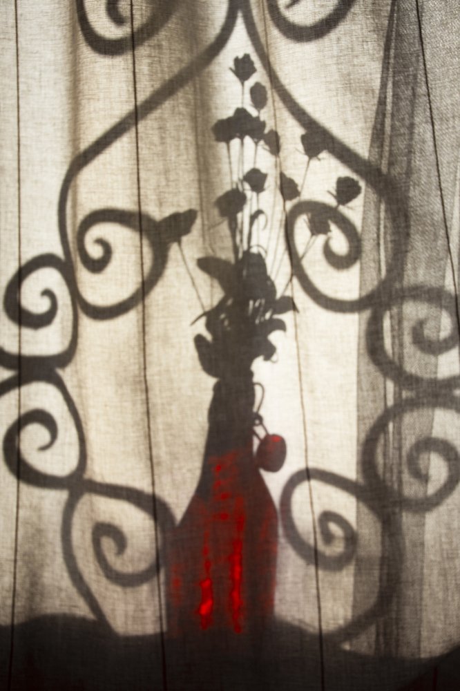 Photograph by Samaneh Beikpoor