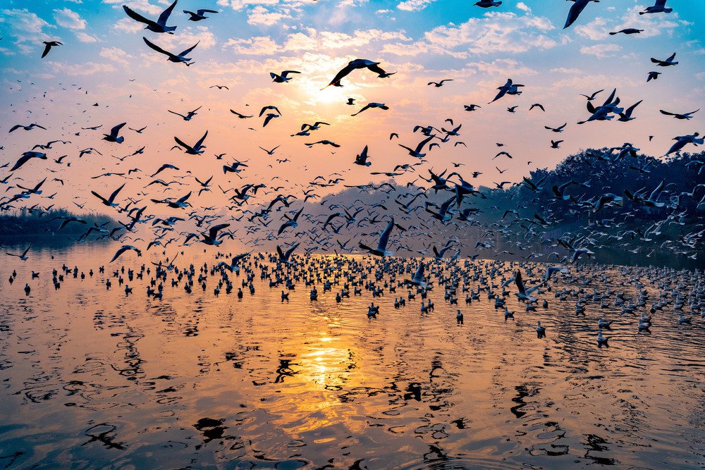 Photograph by Mandeep Arora