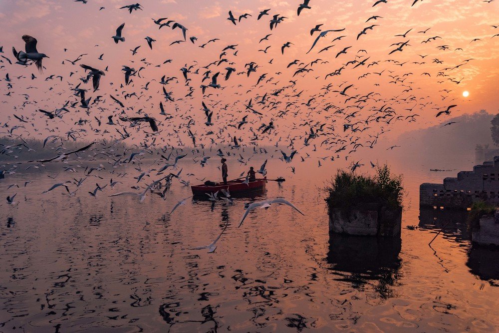 Photograph by Mandeep Arora