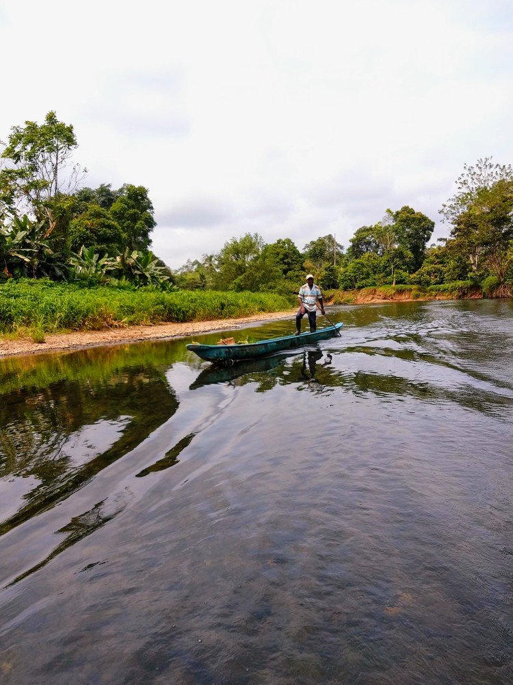 Photograph by María Viviana Borda C