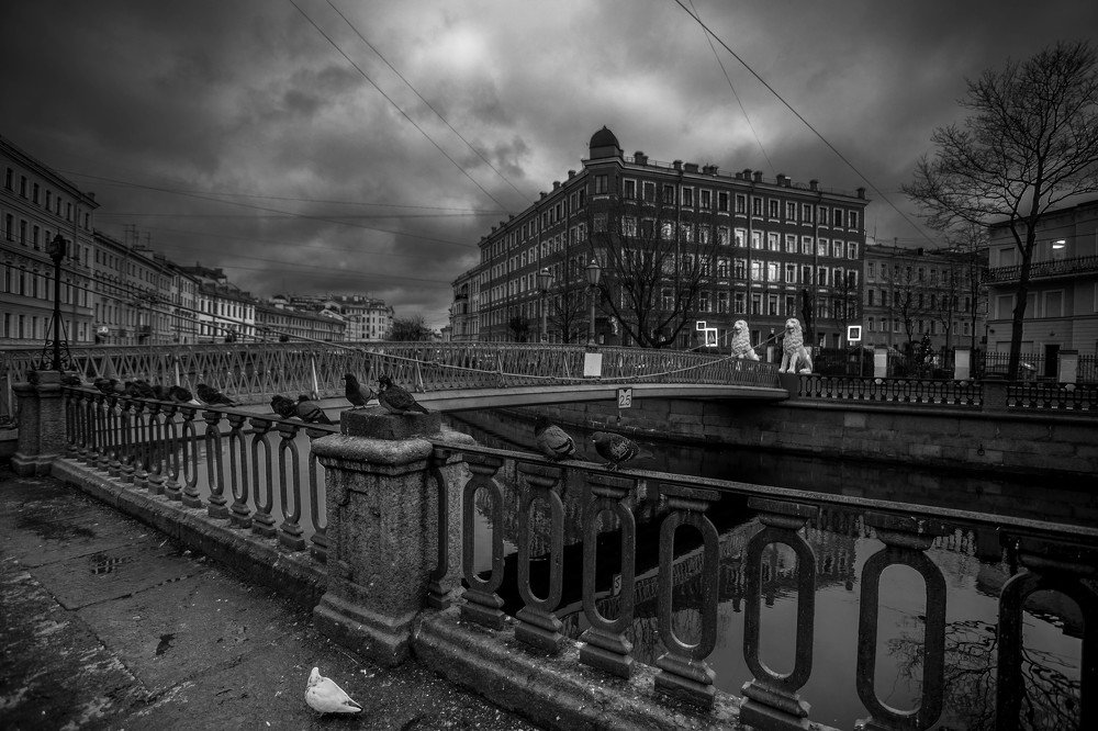 Photograph by Пётр Мурашов