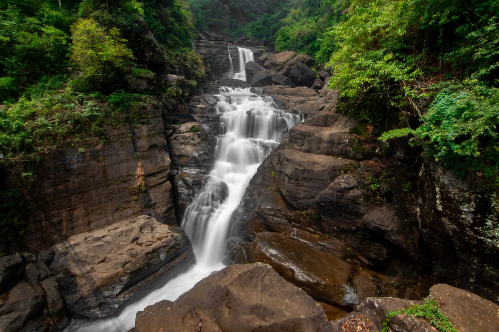 Photograph by Tanmoy Das