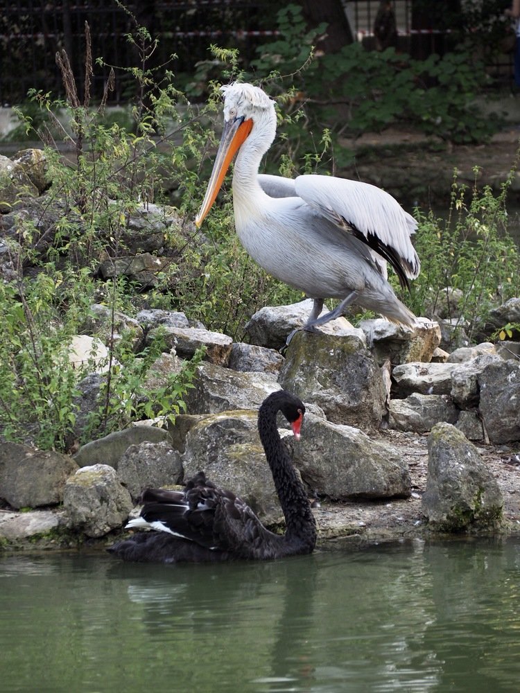 Photograph by Олеся Семенова