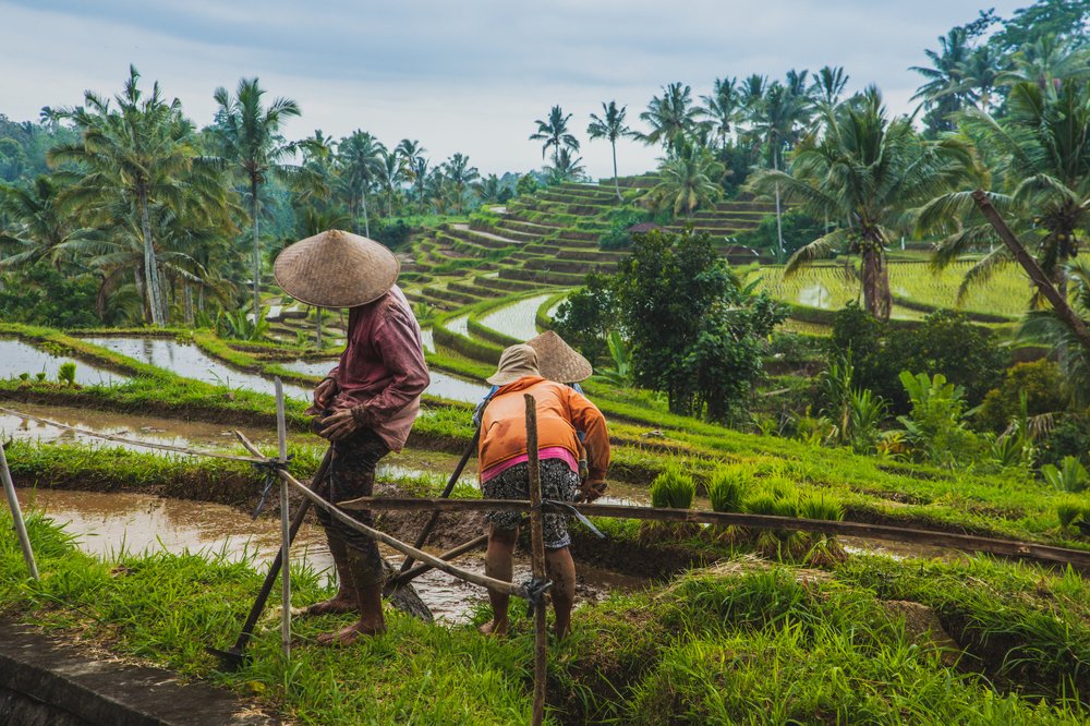 Photograph by Goran Matejin