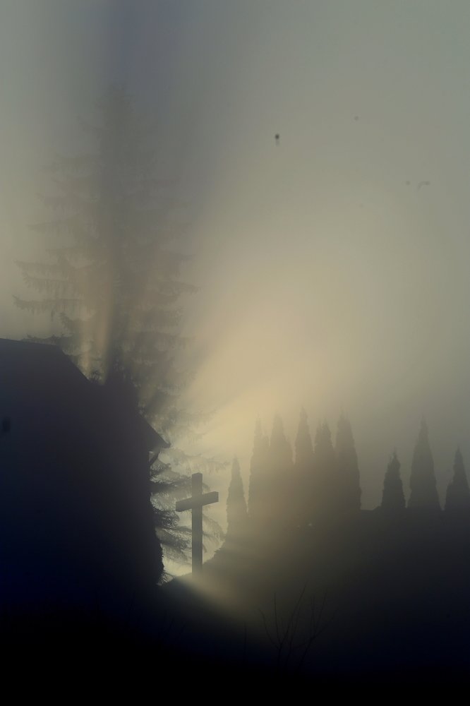 Photograph by Dzintra Zvagina