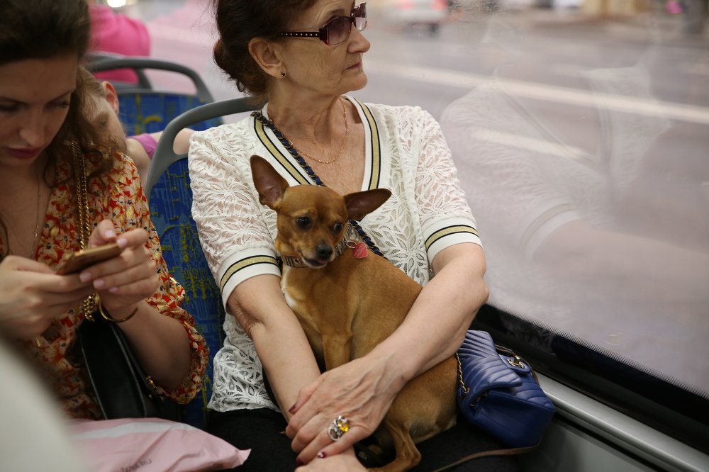 жила-была ...