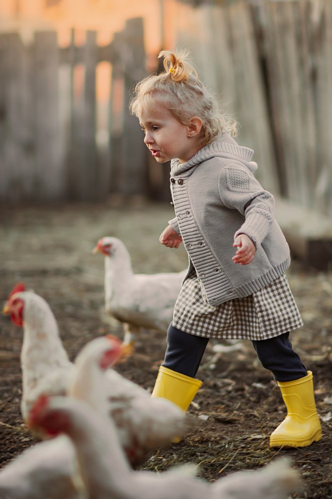 Фотография автора Елена Баклач