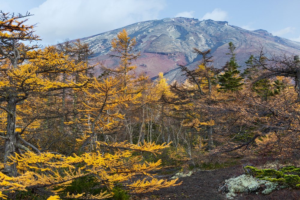 Фудзияма осенью