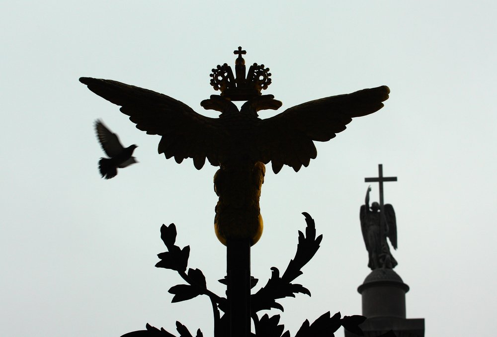 Крылья Петербурга