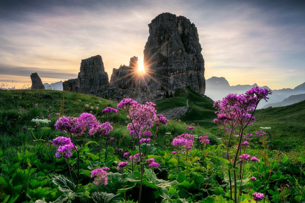 Photograph by Jakub Perlikowski