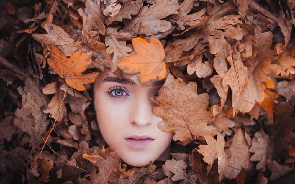 Photograph by Gligor Cristian