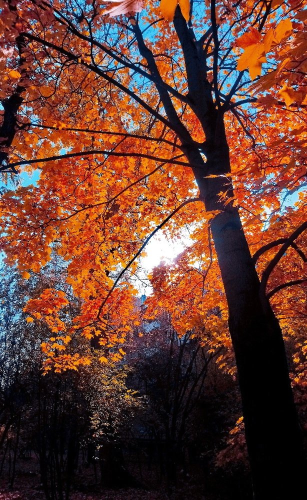 Photograph by Юлия Осипенко