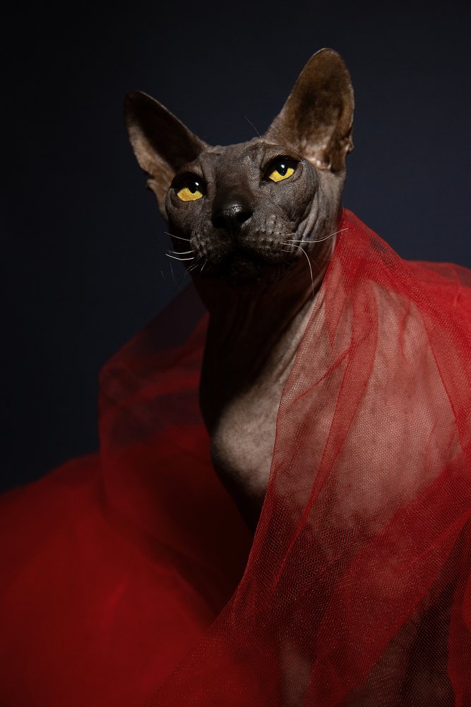 Photograph by Юлия Осипенко