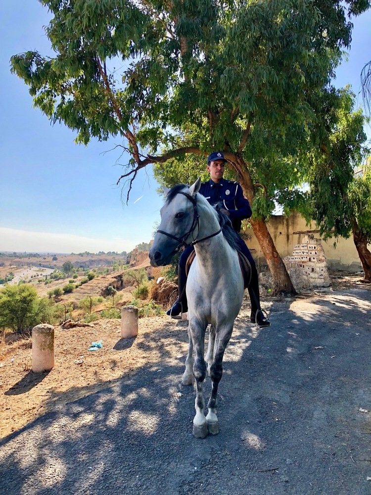All colors  of Morocco