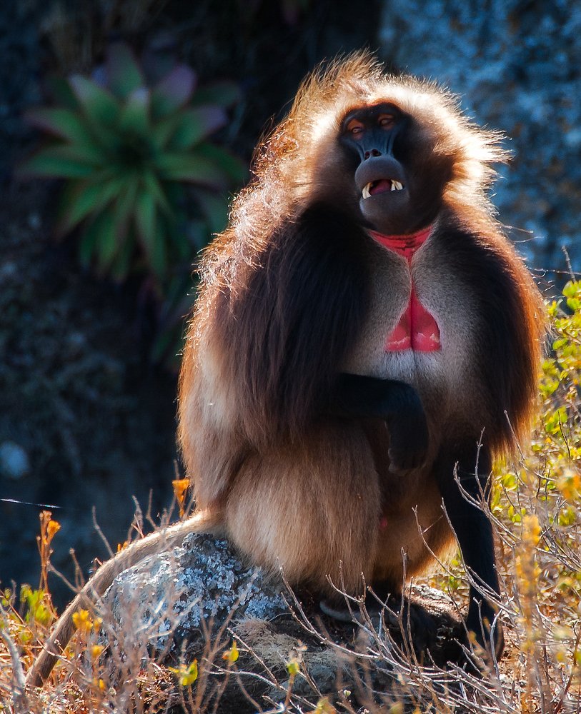 Photograph by Marian Lubawski