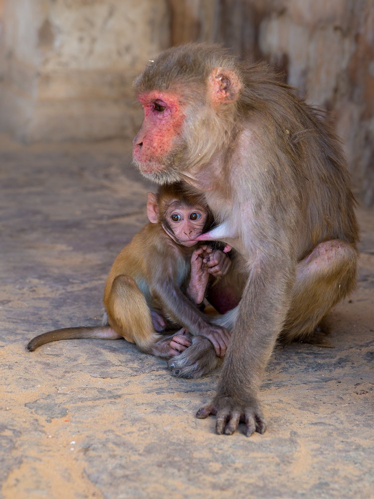 Photograph by Marian Lubawski