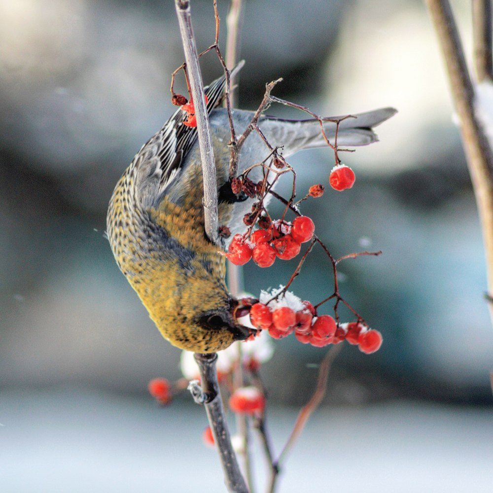 Photograph by Юлия Саморукова