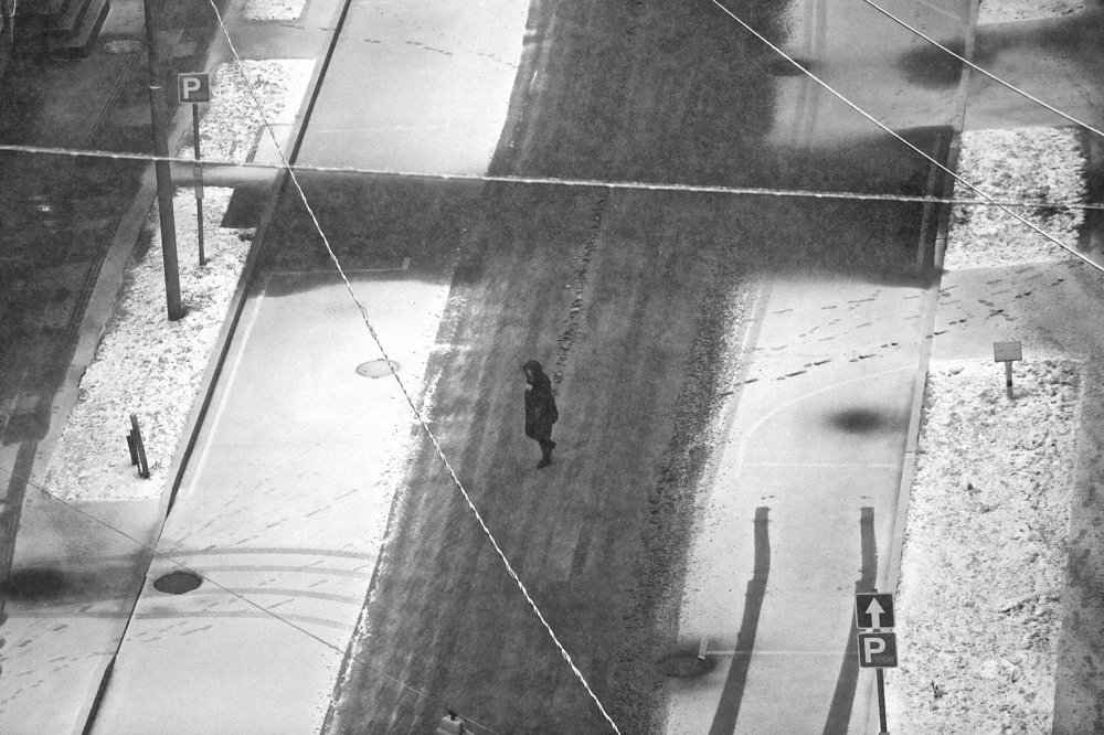 Фотография автора Наталья Васько -Черданцева