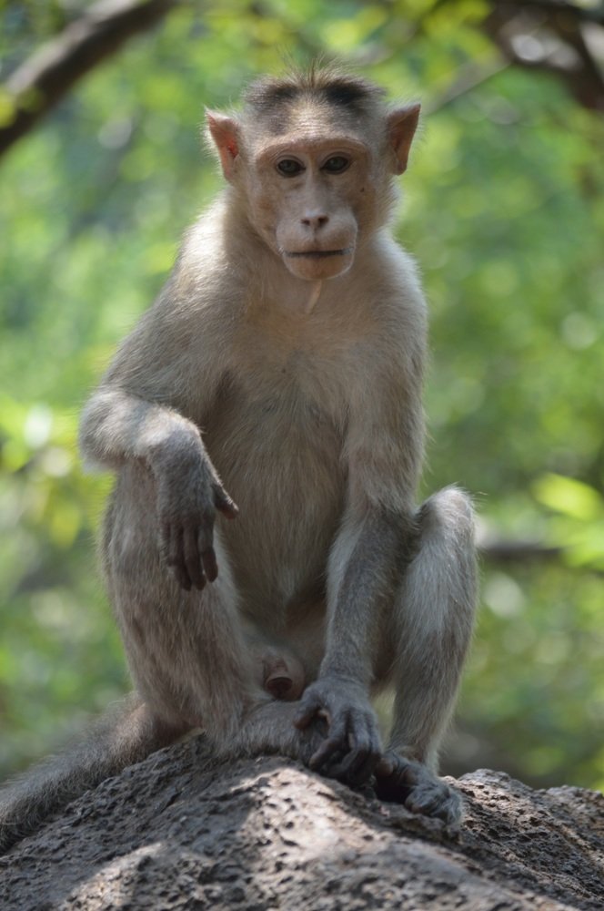 Photograph by Андрей Усов